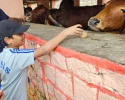 Std IV Educational field trip to Keshav Srishti 2024-25